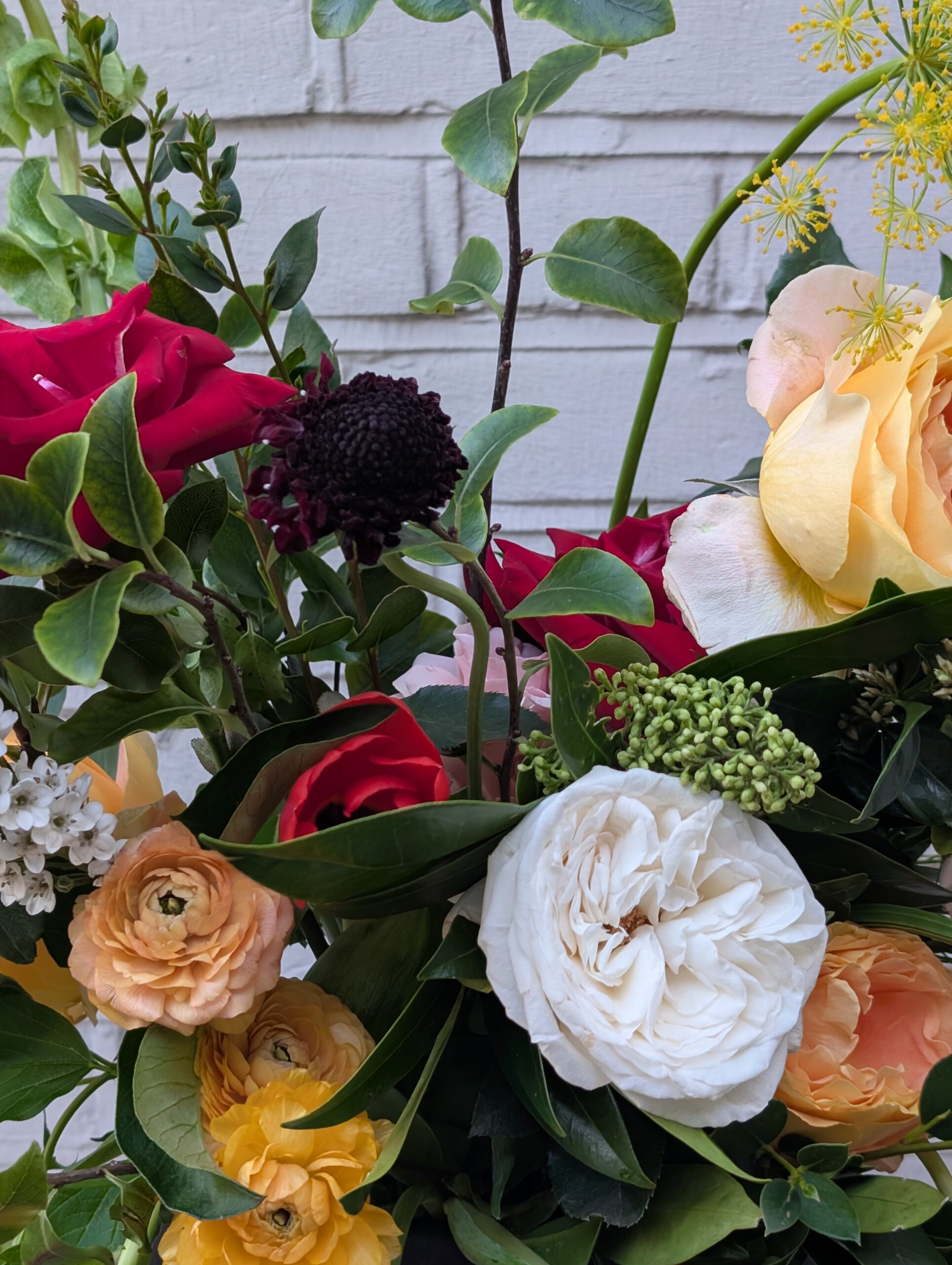 PXL_20260117_151747680