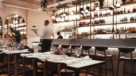 Stem & Stem _ January 240078