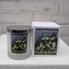 jasmine montana candle