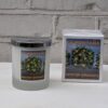 winter oranges candle