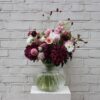 Hydrangea Burgundy Romance Hydrangea Burgundy Romance