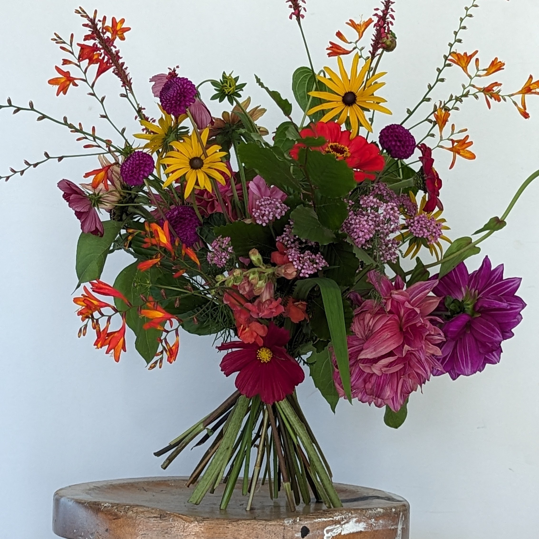 A wild, hand-tied bouquet of 100% British summer flowers including dahlias, rudbeckia, crocosmia, scabious, and cosmos in bold pinks, purples, oranges and yellows. Loosely arranged with natural greenery, set against a plain background on a rustic wooden stool.