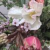 This is Engalnd March Flowers