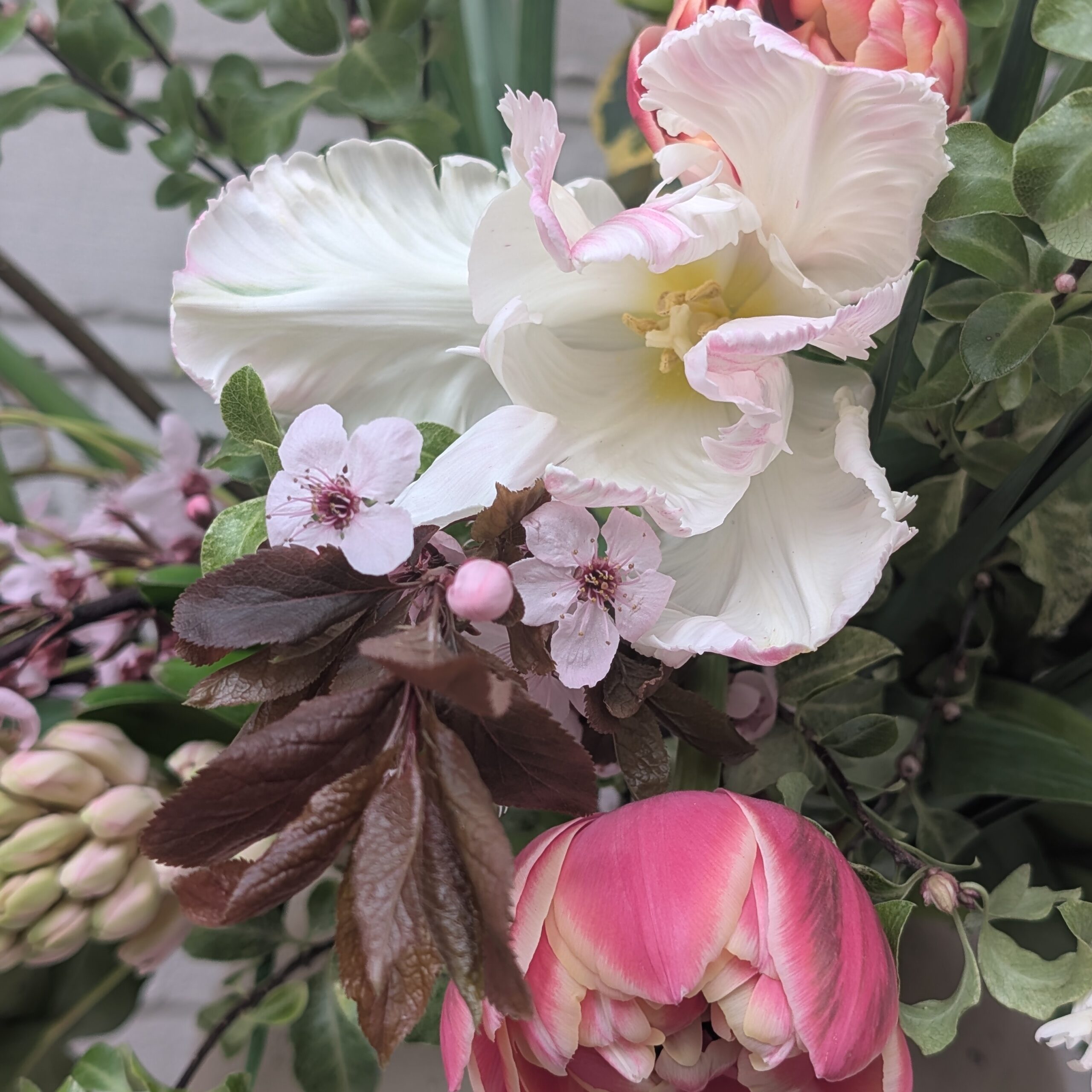 This is Engalnd March Flowers